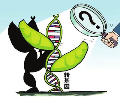 从里约奥运餐饮看中国转基因